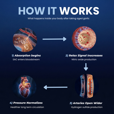 Odorless Aged Garlic  Extract