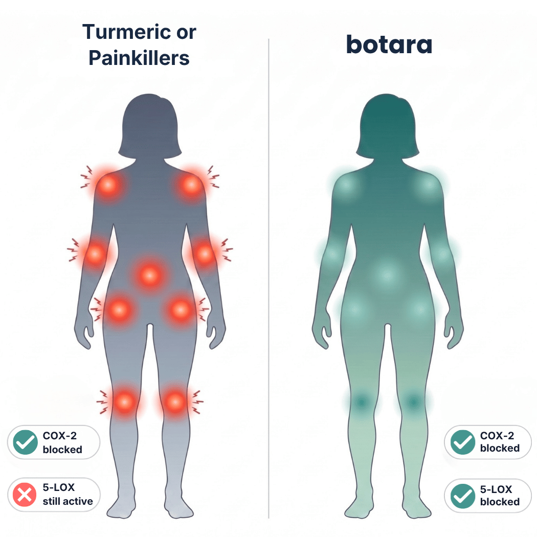 Here's Why Nothing Worked For Your Joint Pain... Until Now