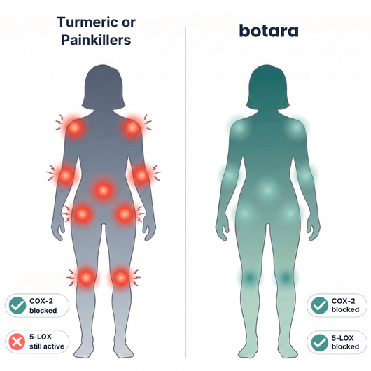 Move More Comfortably with Boswellia Serrata - (600mg)